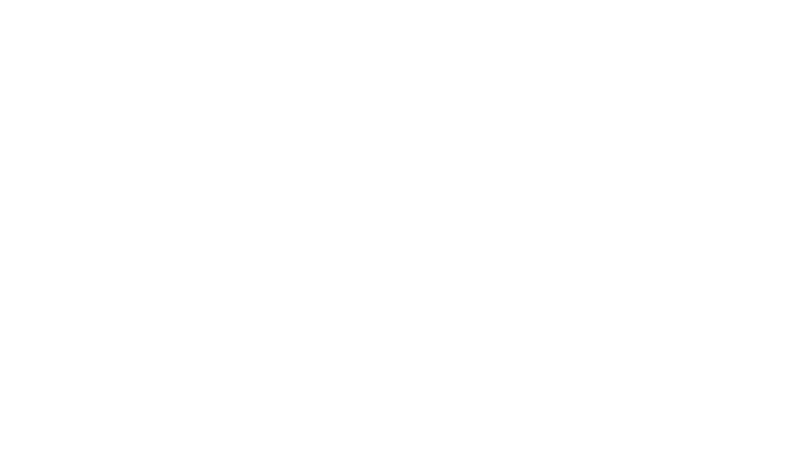 Auswirkung auf den Zeitaufwand pro Kunde und Woche: von 1 Stunde auf 20 Minuten